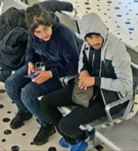 Série de vols dans des voitures à Landen