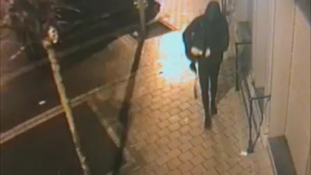 Vol d'une peinture à Zele 