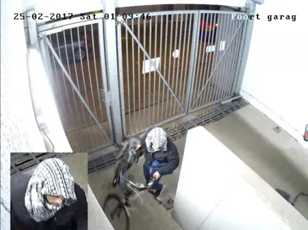 VIDEO - Reeks kelderinbraken in de regio Antwerpen