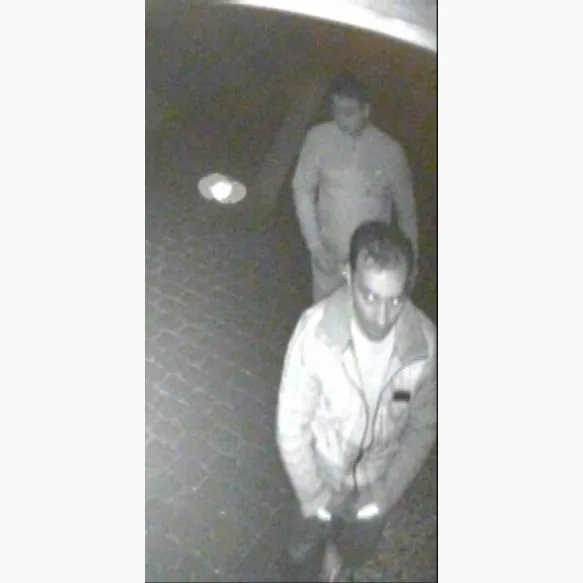 VIDEO - Inbrakenreeks in Bekkevoort