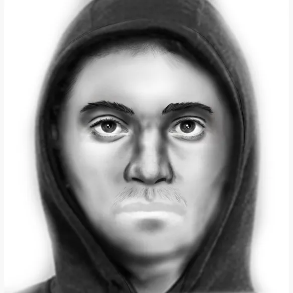 Aanranding van de eerbaarheid in het Zoniënwoud