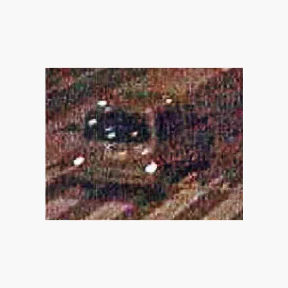 Ongeval met vluchtmisdrijf in Luik