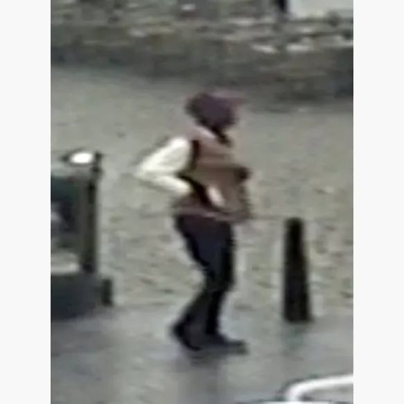 Opzettelijke slagen en verwondingen tijdens de Gentse feesten