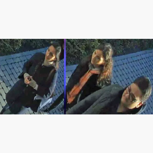 Vol dans une habitation