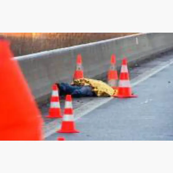 Femme inconnue Fleurus