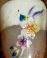 Femme inconnue Visé